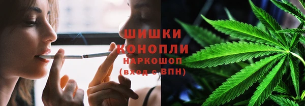 ПСИЛОЦИБИНОВЫЕ ГРИБЫ Баксан