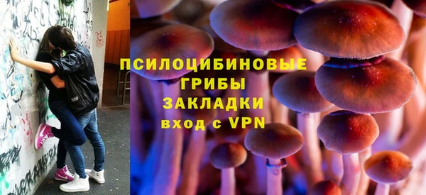 ПСИЛОЦИБИНОВЫЕ ГРИБЫ Баксан